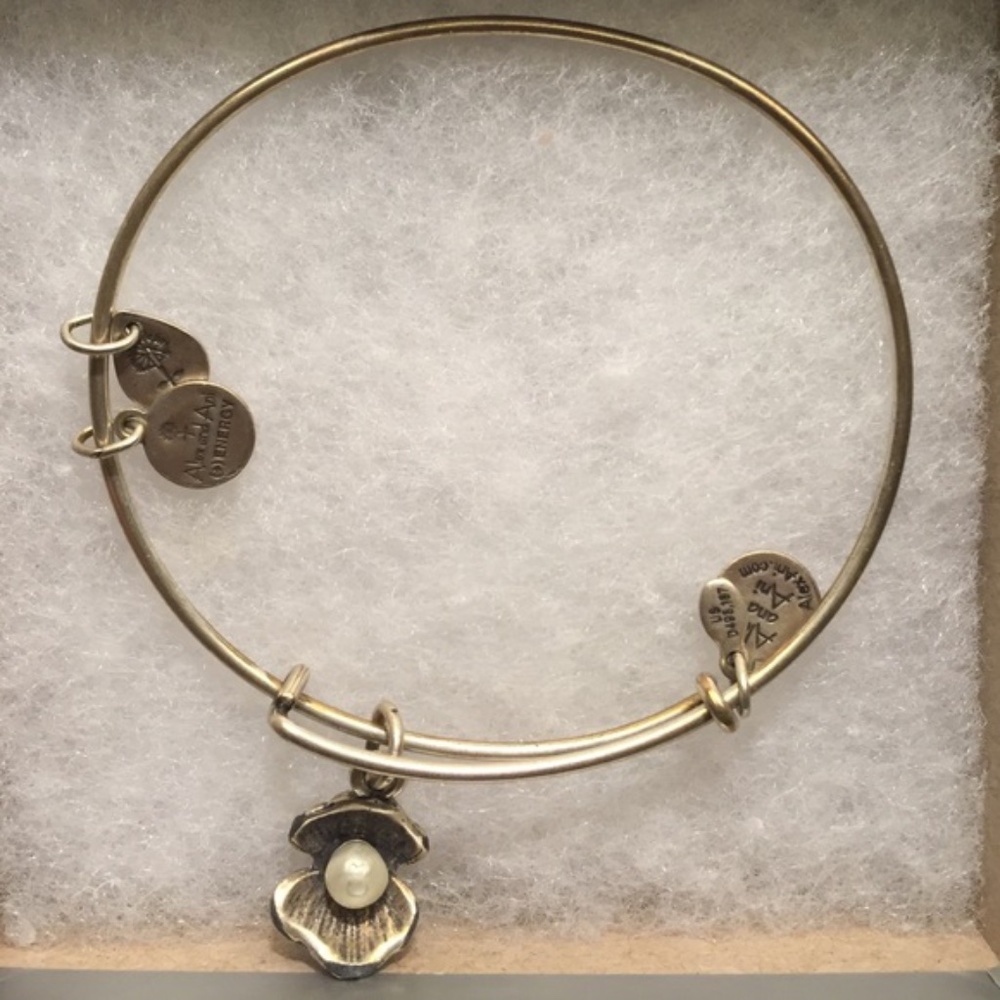 Alex and Ani Oyster Charm Bracelet